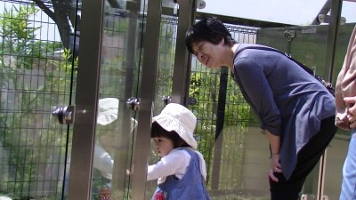 PIC_0241