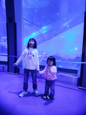 IMG_20171107_130043-cv